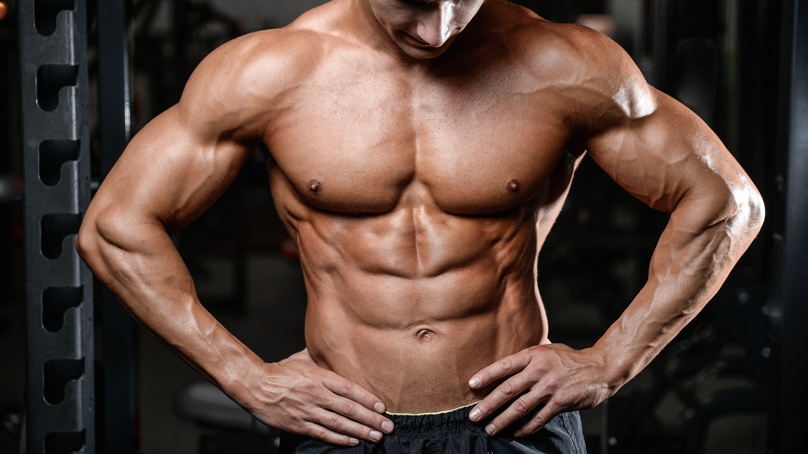 Muscle Gain