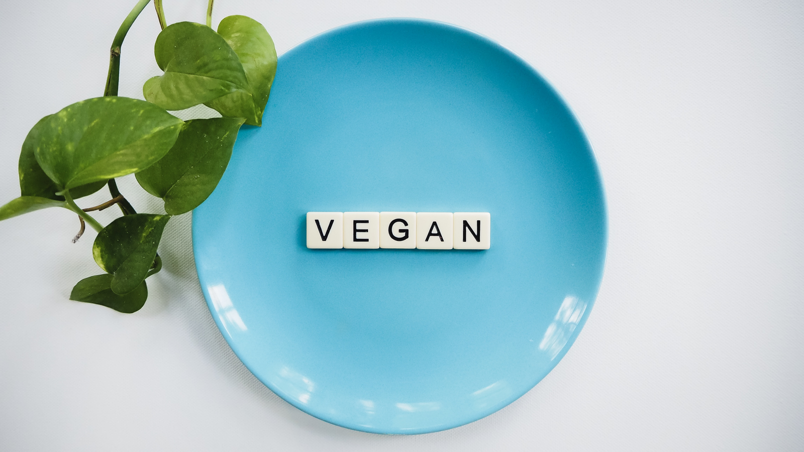 Vegan / Vegetarian